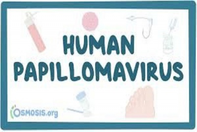 HPV