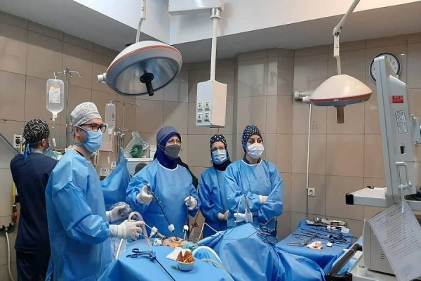 انجمن علمی جراحی‌ های کم‌ تهاجمی زنان در جمع همکاران دومین کنگره بین‌ المللی جراحی‌ های کم‌ تهاجمی زنان و اندومتریوز