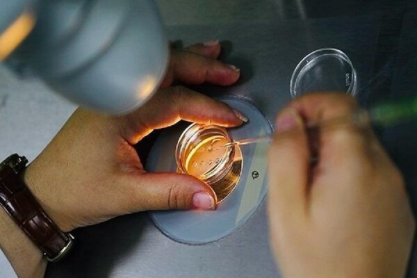 فریز تخمک برای همه زنان مناسب نیست