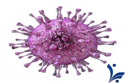 سیتومگالوویروس (CMV) چیست؟