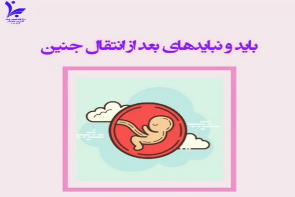بایدها و نبایدهای بعد از انتقال جنین