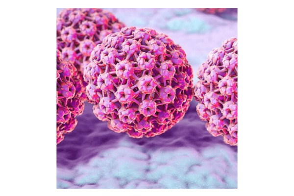 آیا همه افراد مبتلا به HPV در معرض سرطان هستند؟
