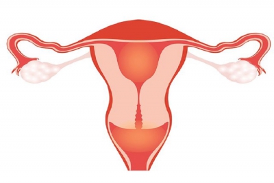 مشکلات ساختاری دستگاه تولید مثل چگونه تشخیص داده می‌شود؟