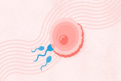 ابن‌سینا، پیشگام تابوزدایی از ناباروری/تجلی رسالت فرهنگی جهاد در روز ملی فرهنگ عامه