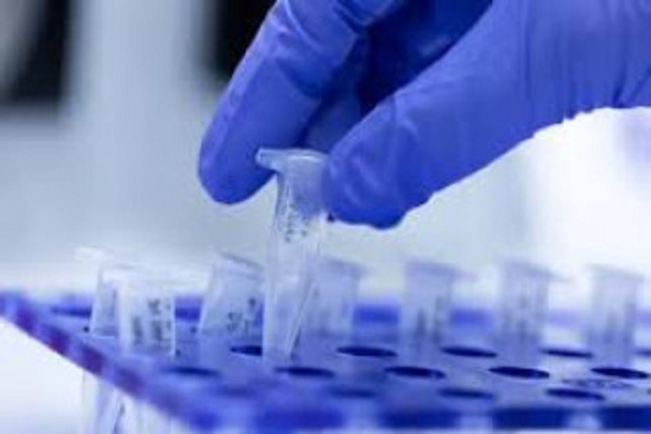 آشنایی دانشجویان و پژوهشگران با تکنیک‌های تجهیز Realtime PCR