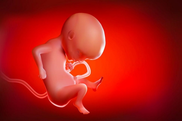چه تکنیک‌های ژنتیکی برای ارزیابی سلامت جنین وجود دارد؟