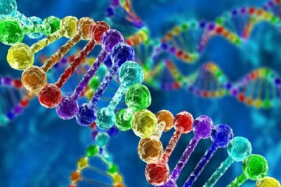 ژنتیک چه نقشی در درمان ناباروری دارد؟