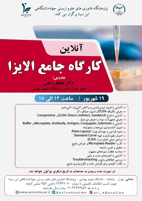 کارگاه جامع الایزا