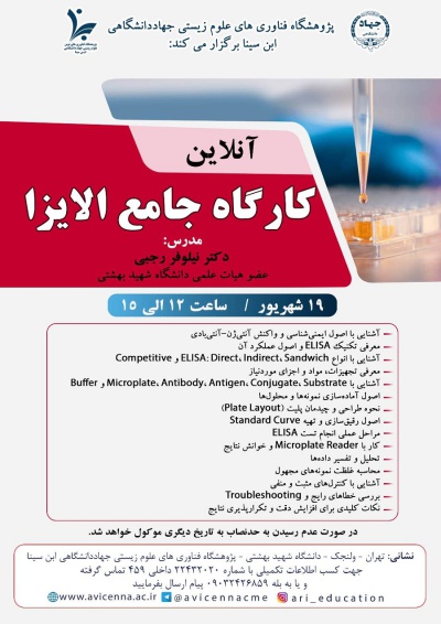 کارگاه جامع الایزا
