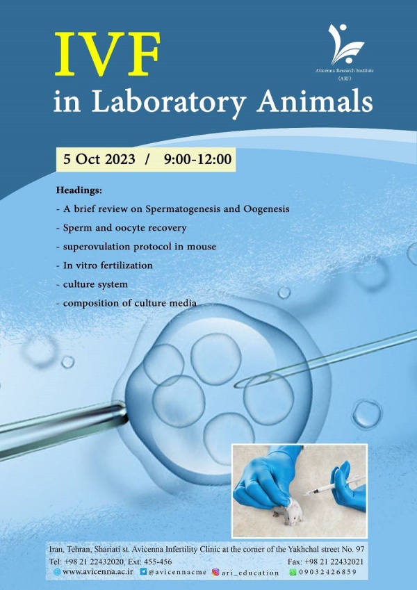 IVF in Laboratory Animals