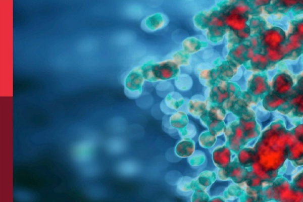 کشفیات جدید در ایمونولوژی بارداری/کتاب تازه منتشرشده با ویراستاری اساتید پژوهشگاه ابن سینا