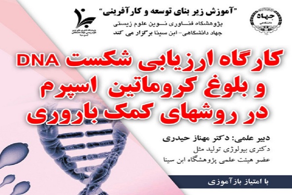ارزیابی شکست DNA و بلوغ کروماتین اسپرم در روش‌های کمک‌باروری»