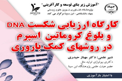 ارزیابی شکست DNA و بلوغ کروماتین اسپرم در روش‌های کمک‌باروری»