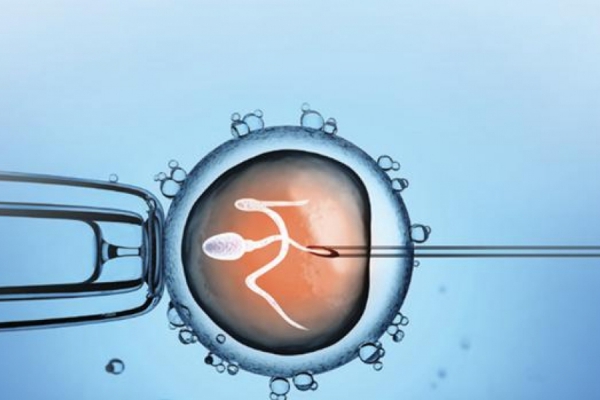 آیا افرادی که از طریق IVF باردار می شوند، می توانند طبیعی هم زایمان کنند؟